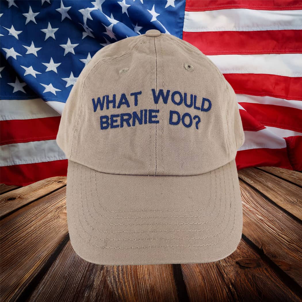 What Would Bernie Do Hat 