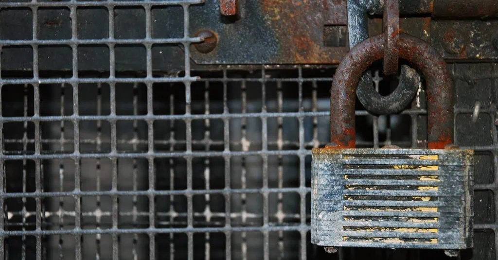 Locked padlock on a mesh wire gate