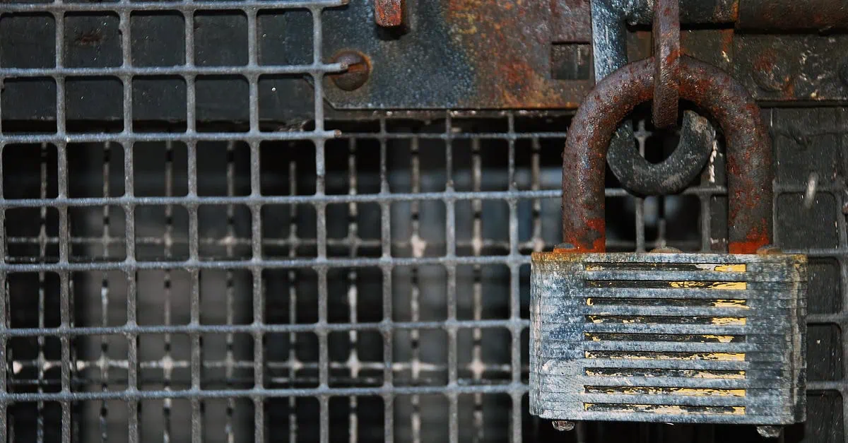Locked padlock on a mesh wire gate