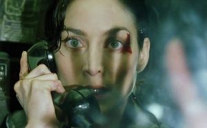 Trinity staring into headlights