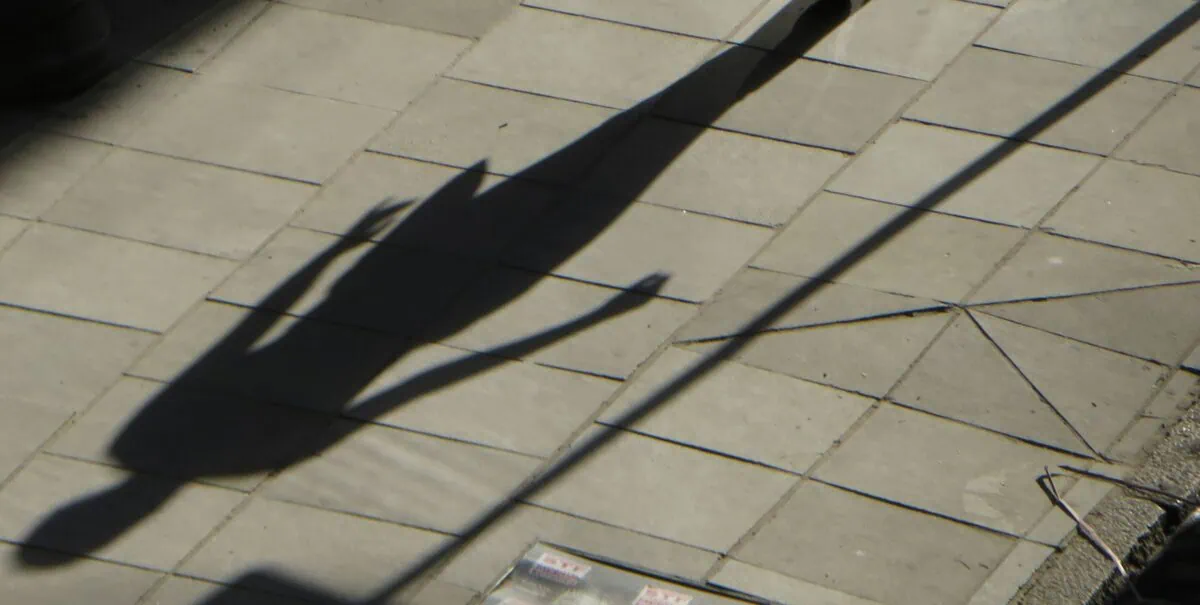 Artistic photograph of a long shadow of a person across a sidewalk.