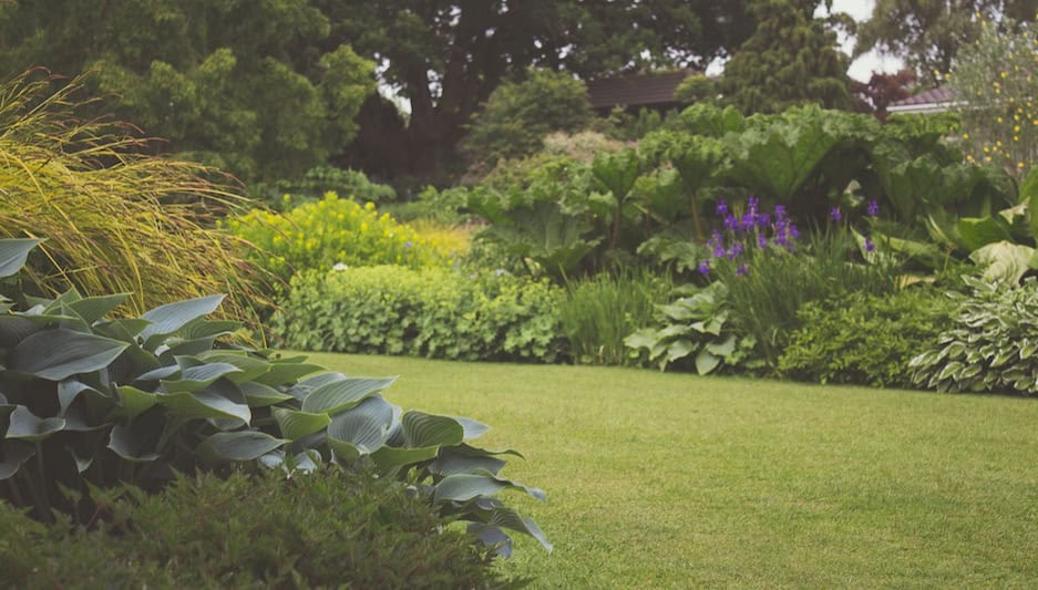 A beautiful lawn and well maintained garden.