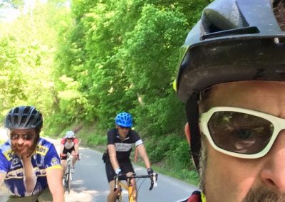 Bikers enjoying a scenic trail ride through lush green forests.