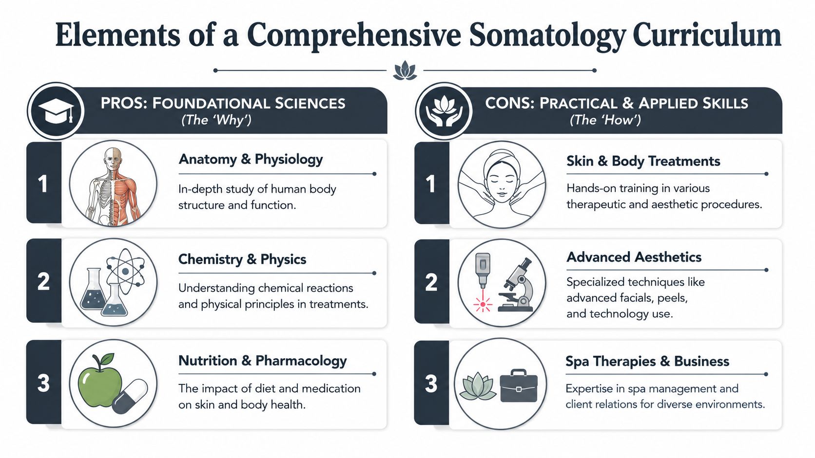 An infographic detailing a comprehensive somatology curriculum divided into foundational sciences and practical applied skills.