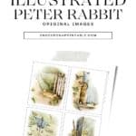 Peter Rabbit original illustrations by Beatrix Potter.