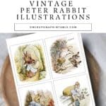 Peter Rabbit original illustrations by Beatrix Potter.
