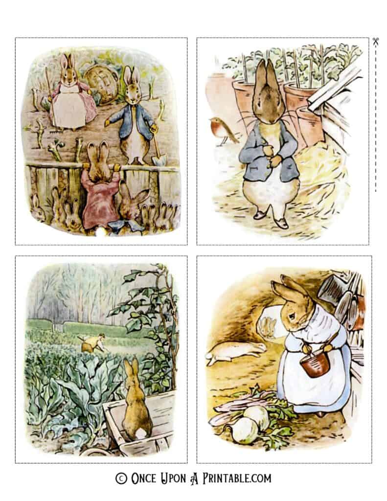 Peter Rabbit original illustrations by Beatrix Potter.