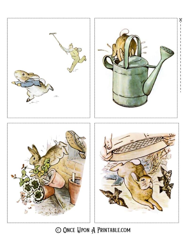 Peter Rabbit original illustrations by Beatrix Potter.