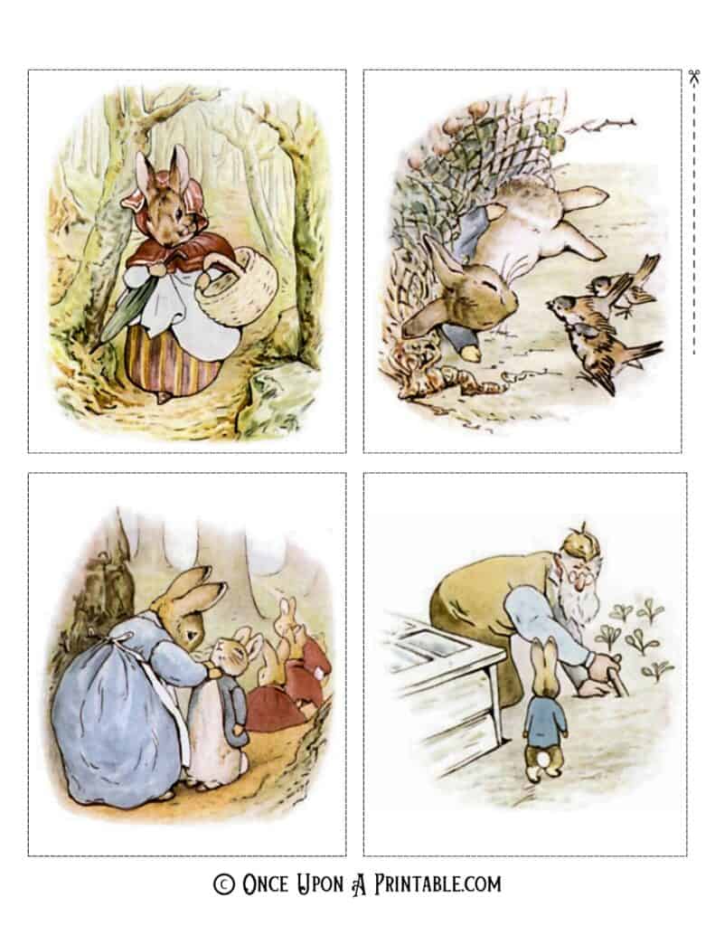 Peter Rabbit original illustrations by Beatrix Potter.