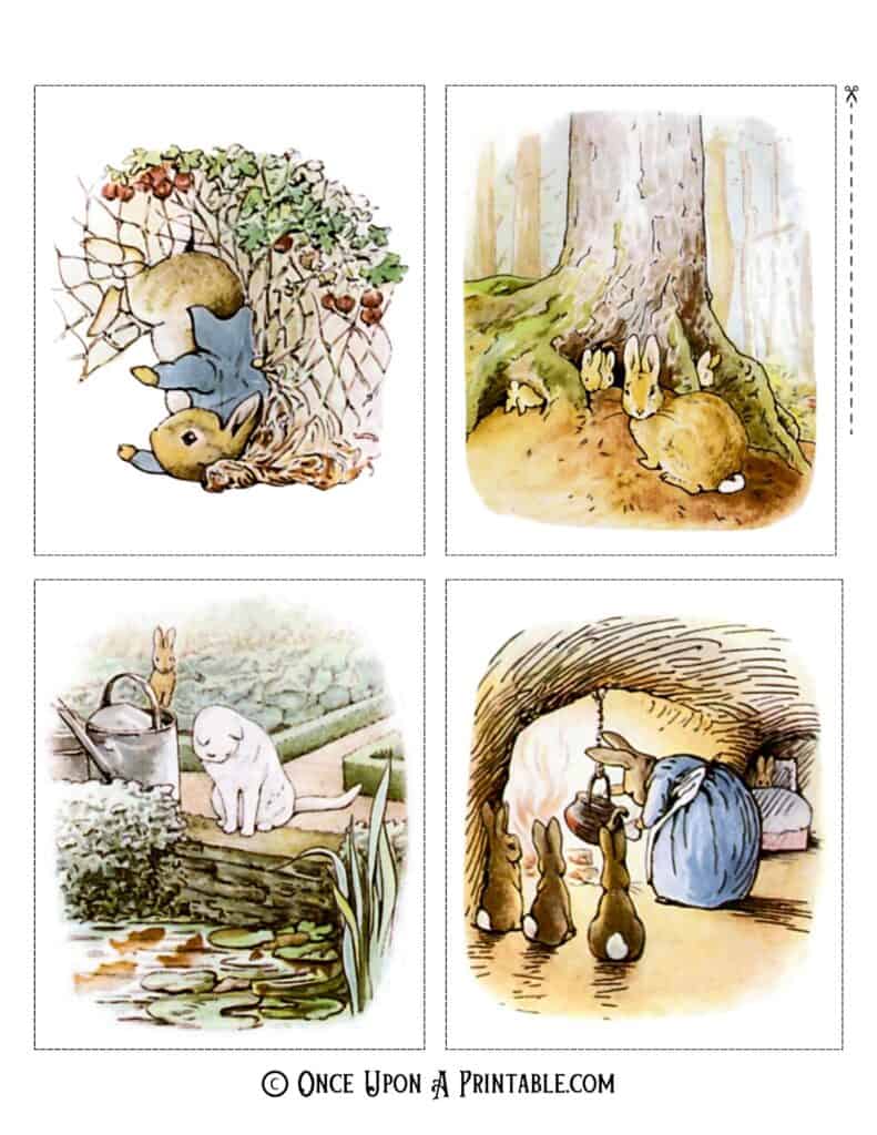 Peter Rabbit original illustrations by Beatrix Potter.