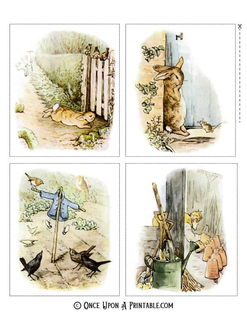 Peter Rabbit original illustrations by Beatrix Potter.