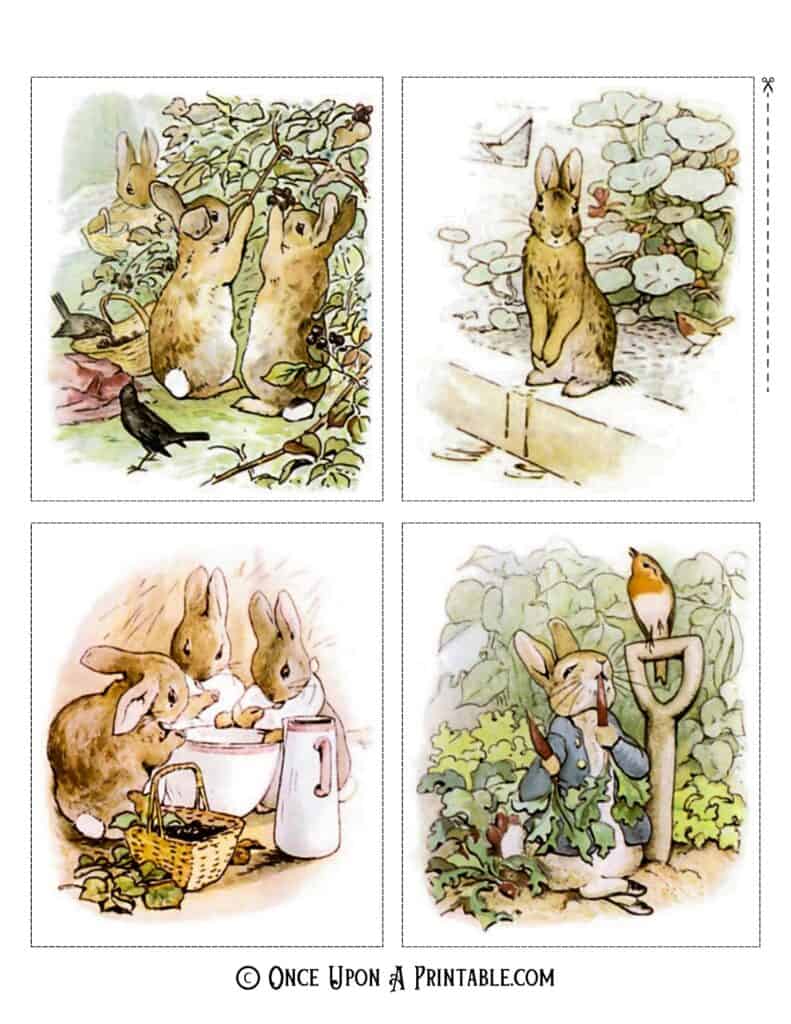 Peter Rabbit original illustrations by Beatrix Potter.