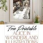 Alice in Wonderland illustrations by Arthur Rackham.