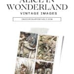 Alice in Wonderland illustrations by Arthur Rackham.