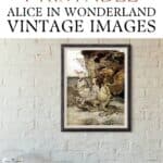 Alice in Wonderland illustrations by Arthur Rackham.