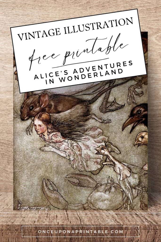 Alice in Wonderland illustrations by Arthur Rackham.