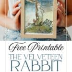 Vintage The Velveteen Rabbit Illustrations (Free to Print) - Once Upon ...