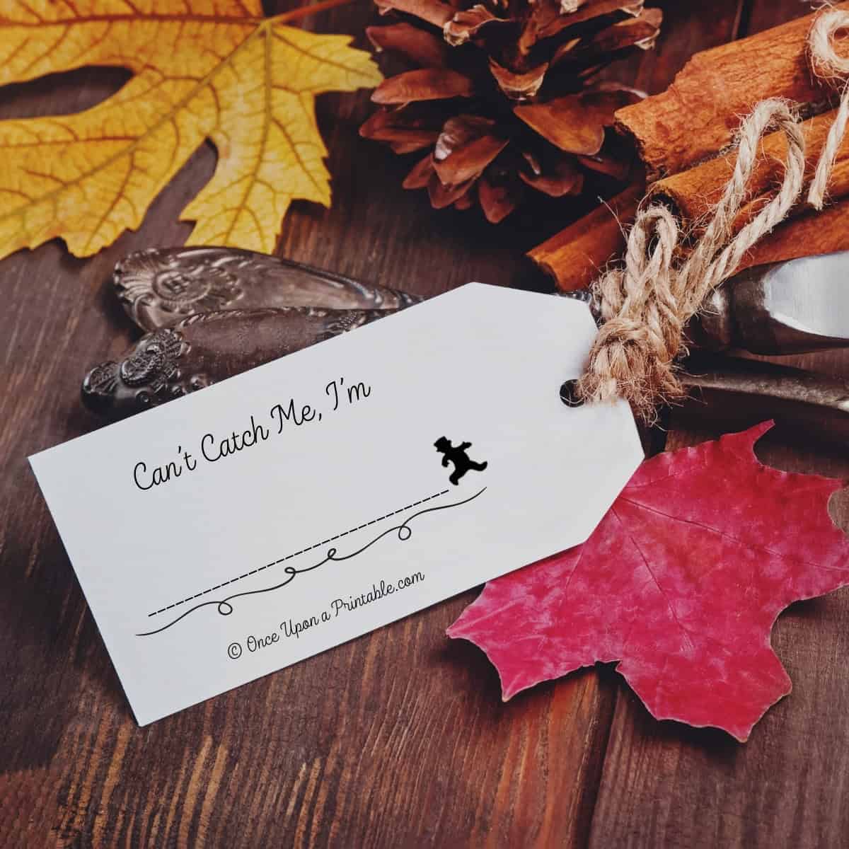 The Little Gingerbread vintage illustrated name tags.