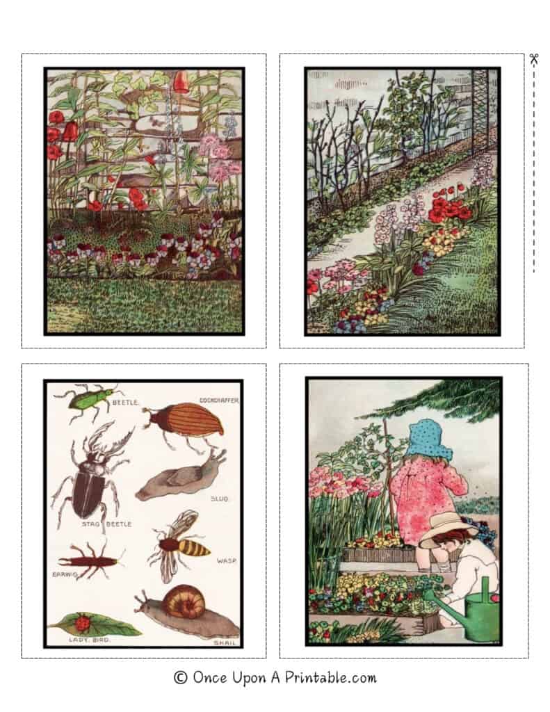 Vintage book illustrations from the book "Things in our Garden" by Arthur Ransome, illustrated by Frances Craine.