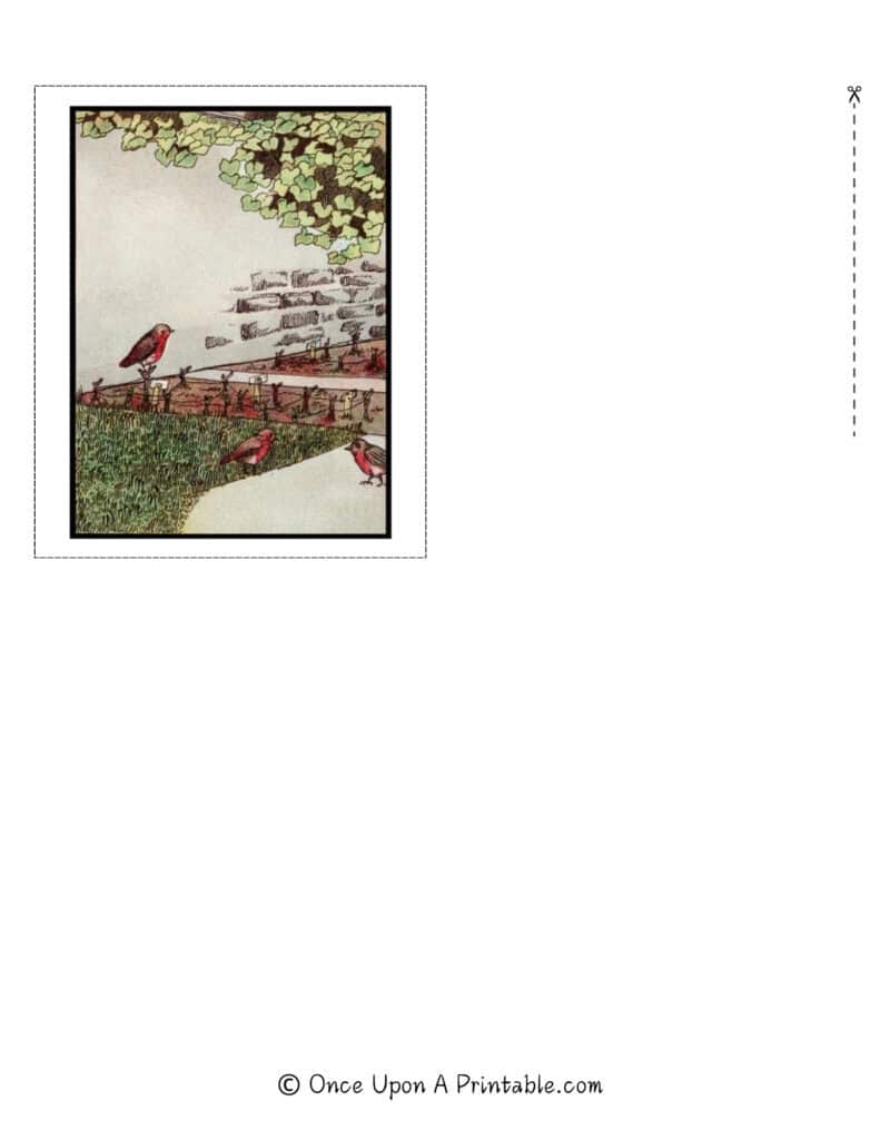 Vintage book illustrations from the book "Things in our Garden" by Arthur Ransome, illustrated by Frances Craine.