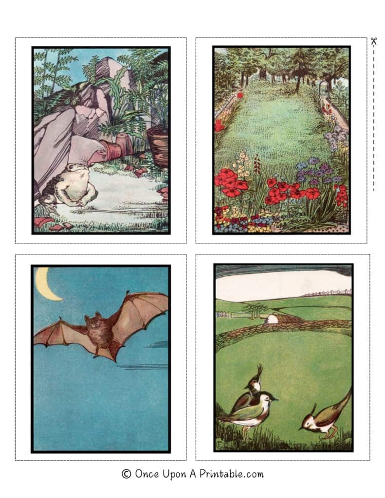 Vintage book illustrations from the book "Things in our Garden" by Arthur Ransome, illustrated by Frances Craine.