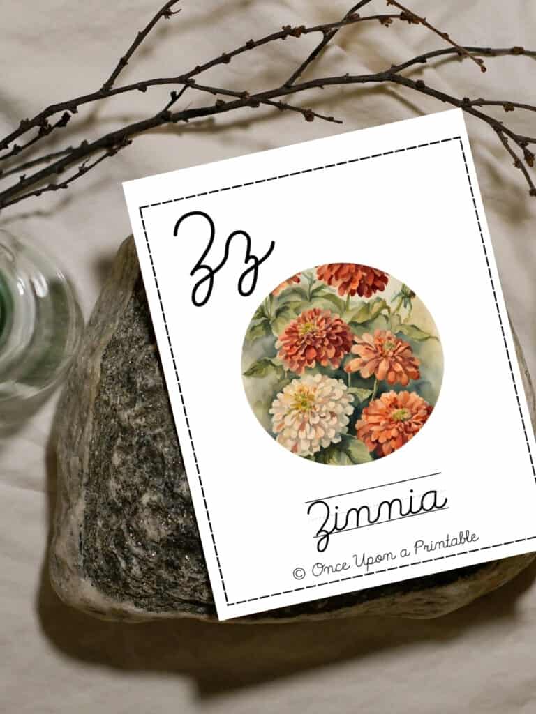 North American wildflower, native, Zinnia cursive card laying on a rock.