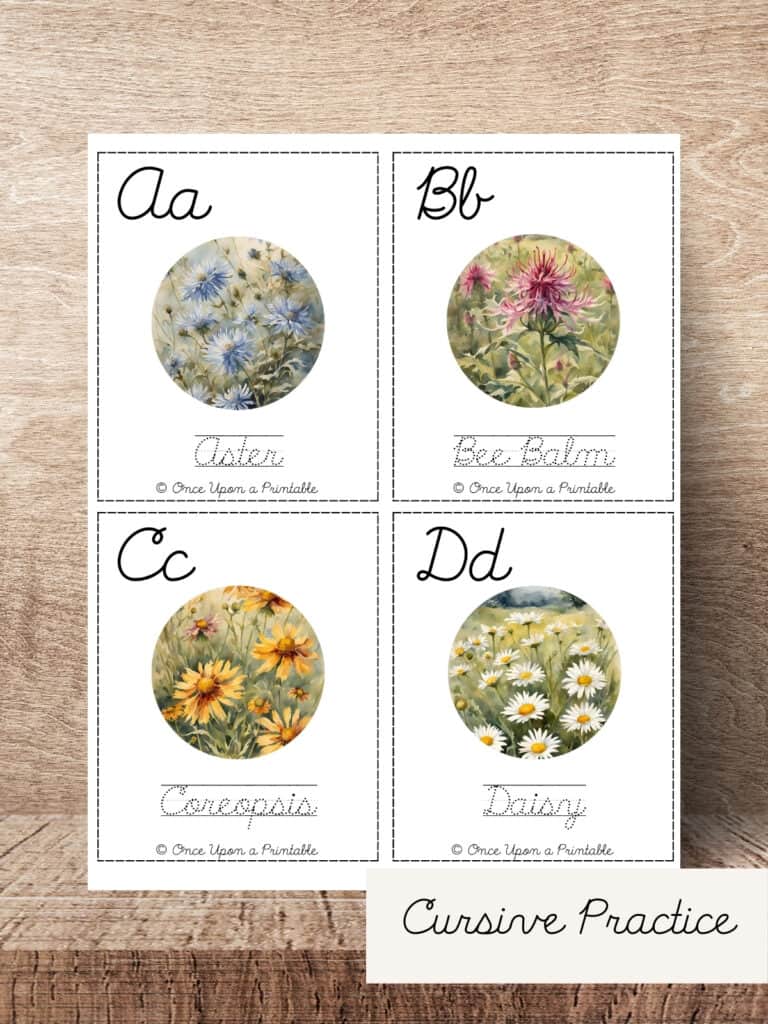 North American Wildflower cursive practice cards.