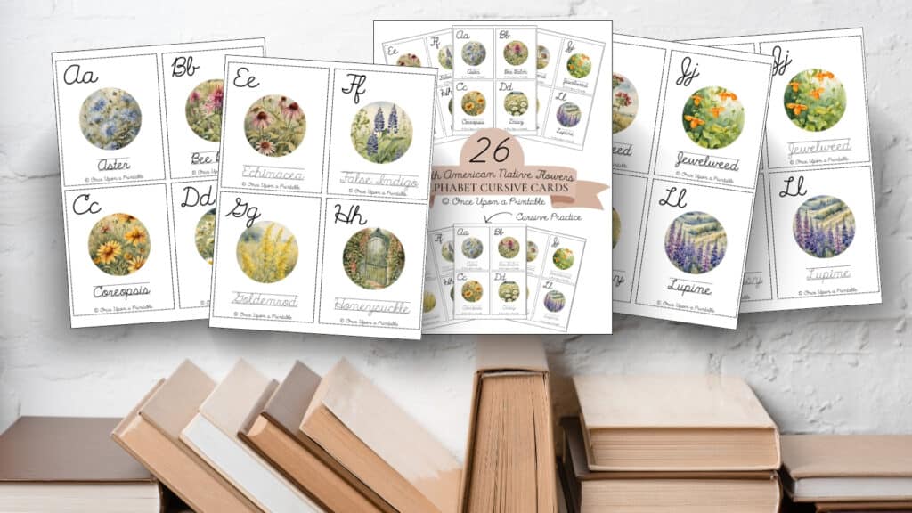 North American wildflower cursive practice and identification cards.