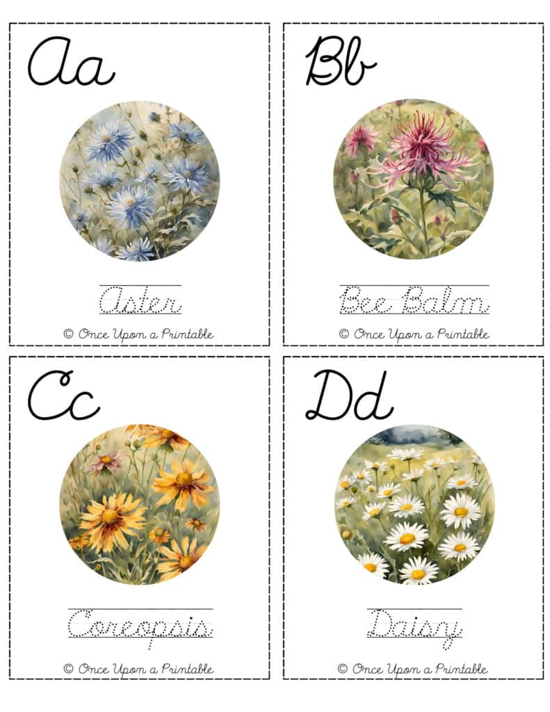 North American Wildflower cursive practice cards.