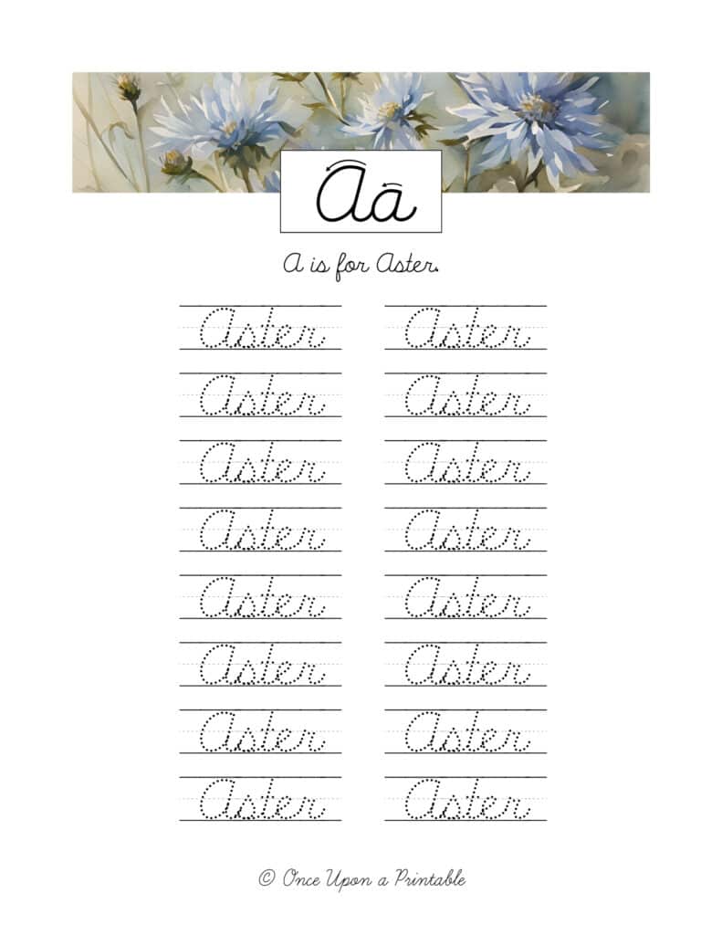 North American native flowers alphabet cursive practice and copywork with watercolor flowers.