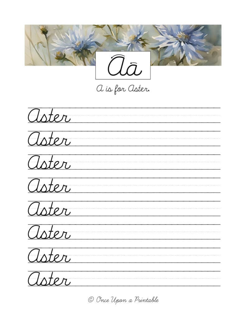 North American native flowers alphabet cursive practice and copywork with watercolor flowers.