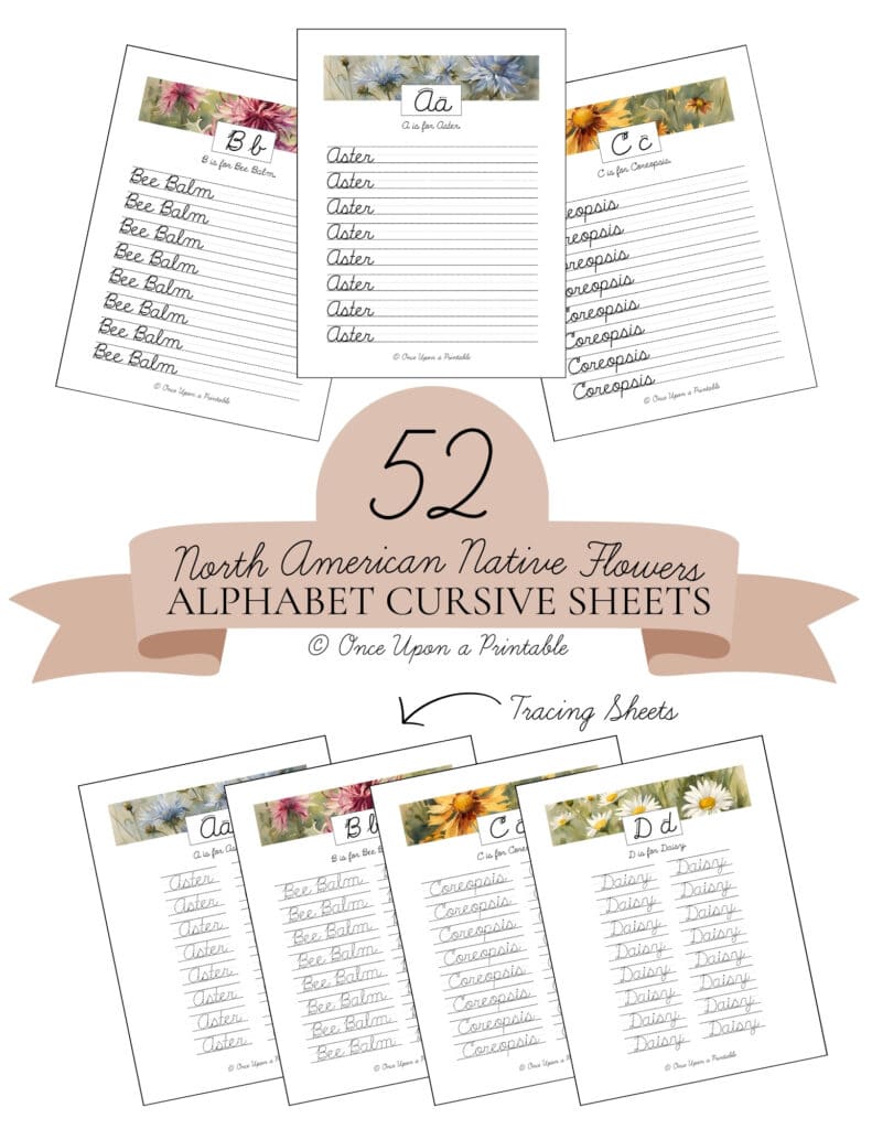 North American wildflower cursive worksheet collection cover sheet.