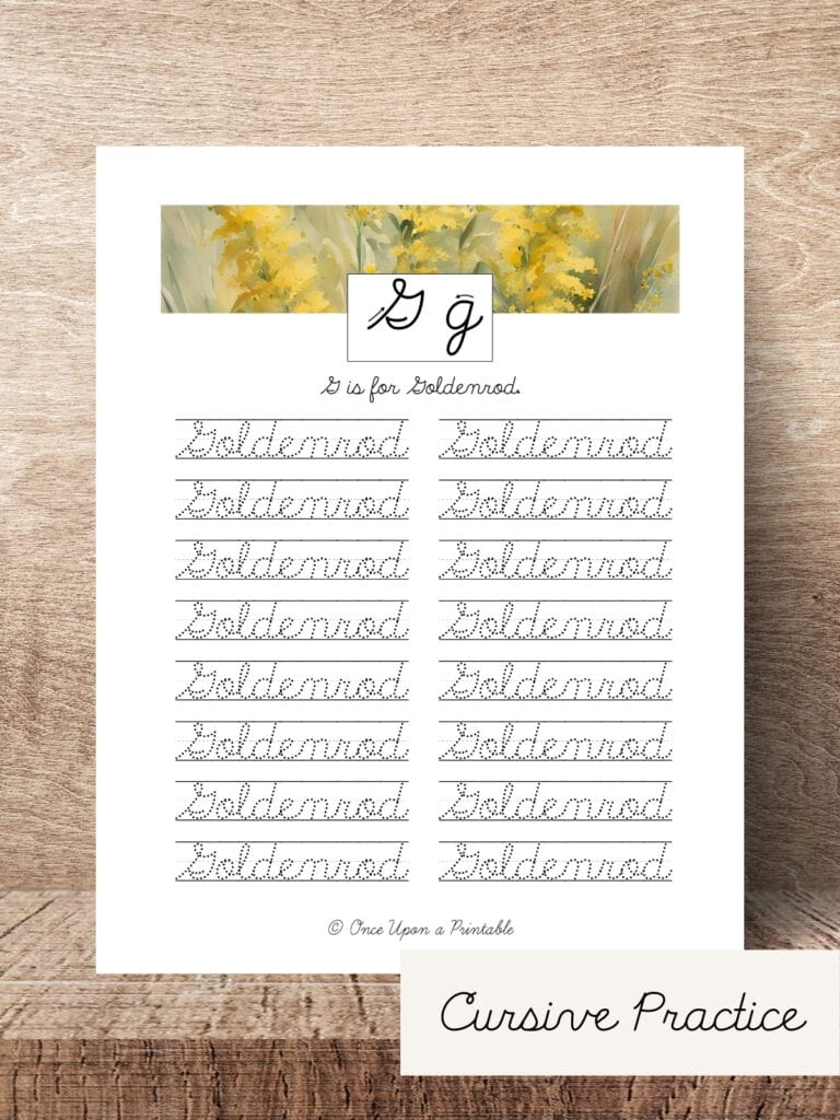North American wildflower cursive practice G for Goldenrod.