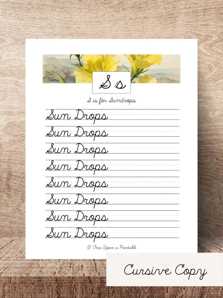 North American Wildflower cursive copywork for S.