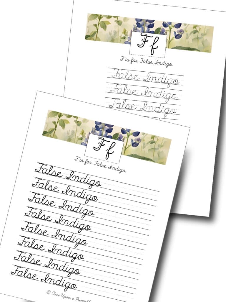 North American Wildflower cursive practice F for false indigo.