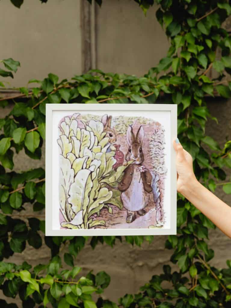 Beatrix Potter's original watercolor illustrations from the tale of Benjamin Bunny in a frame and being held outside by a wall of ivy.