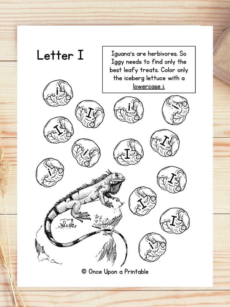 Letter I is for Iguana capital and lowercase i sorting.