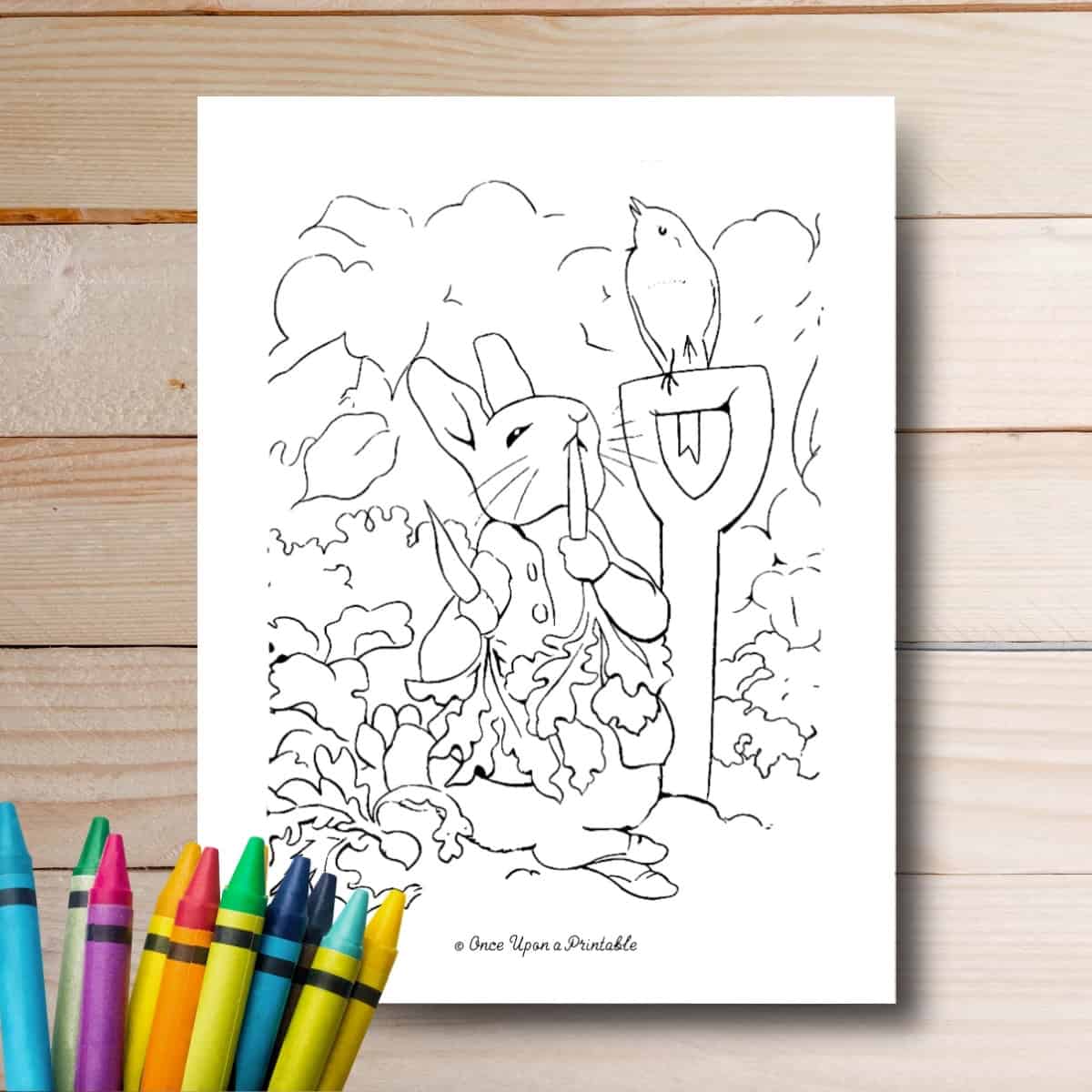 Peter Rabbit and Friends coloring Pages laying on a wooden table with crayons.