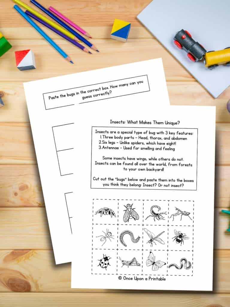 What makes insects unique worksheets laying on a wooden table.