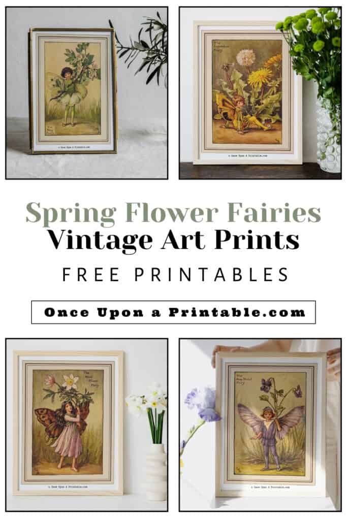 Spring flower fairies vintage art prints framed on display.