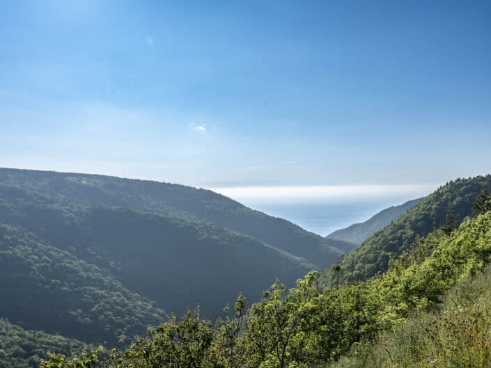 Cape Breton Island