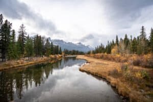 Calm river surrounded by evergreen and autumn trees with snow-capped mountains under cloudy sky