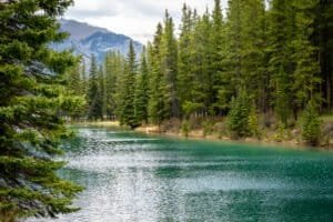River winding through evergreen forest with mountains and cloudy sky in the background