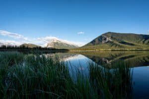 Lake with tall grasses in foreground reflecting forested mountains and a blue sky with clouds