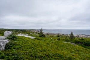 Coastal view with green shrubs, rocky shore, overcast sky, and round stone with three curved lines.