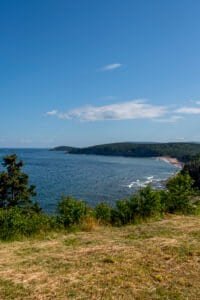 Coastal view with grassy foreground, green bushes, forested peninsula, ocean, and blue sky.