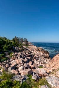 Rocky coastline with large boulders, green trees, and calm ocean under a clear blue sky.