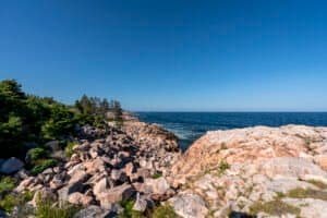 Rocky coastline with evergreen trees beside the ocean under a clear blue sky.
