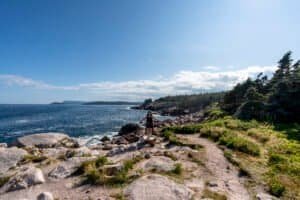Person standing on rocky coastal path with ocean to the left and forested area to the right