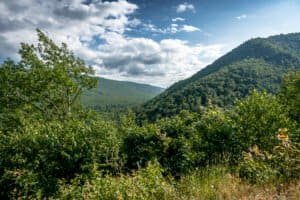 Forest-covered hills under partly cloudy sky with green trees in the foreground.